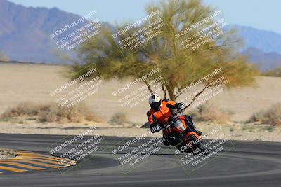 media/Feb-04-2023-SoCal Trackdays (Sat) [[8a776bf2c3]]/Turn 4 (Tree of Life 2pm)/